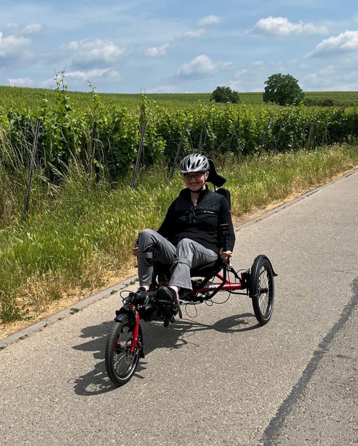 Mobilität im Rheingau